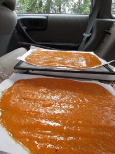 Videos for Preserving Summer Harvests: Easy Jam, Cherry Preserves, and Dehydrated Fruit Leather Image